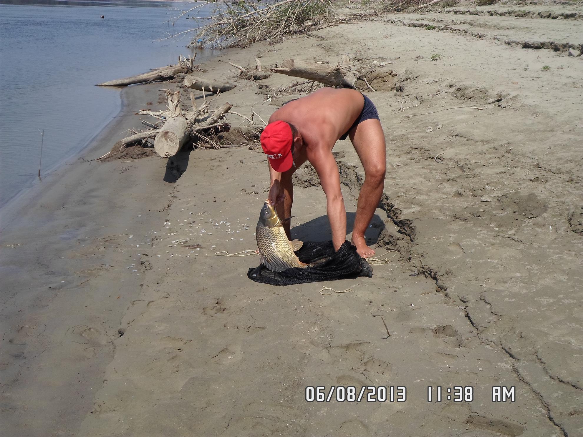 pescuit pe dunare - sam00951.JPG